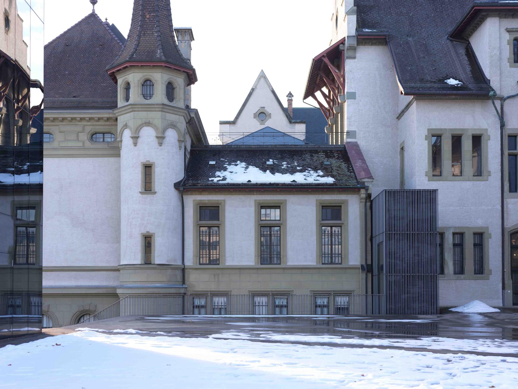 Weihnachtskarte 2024, Viola