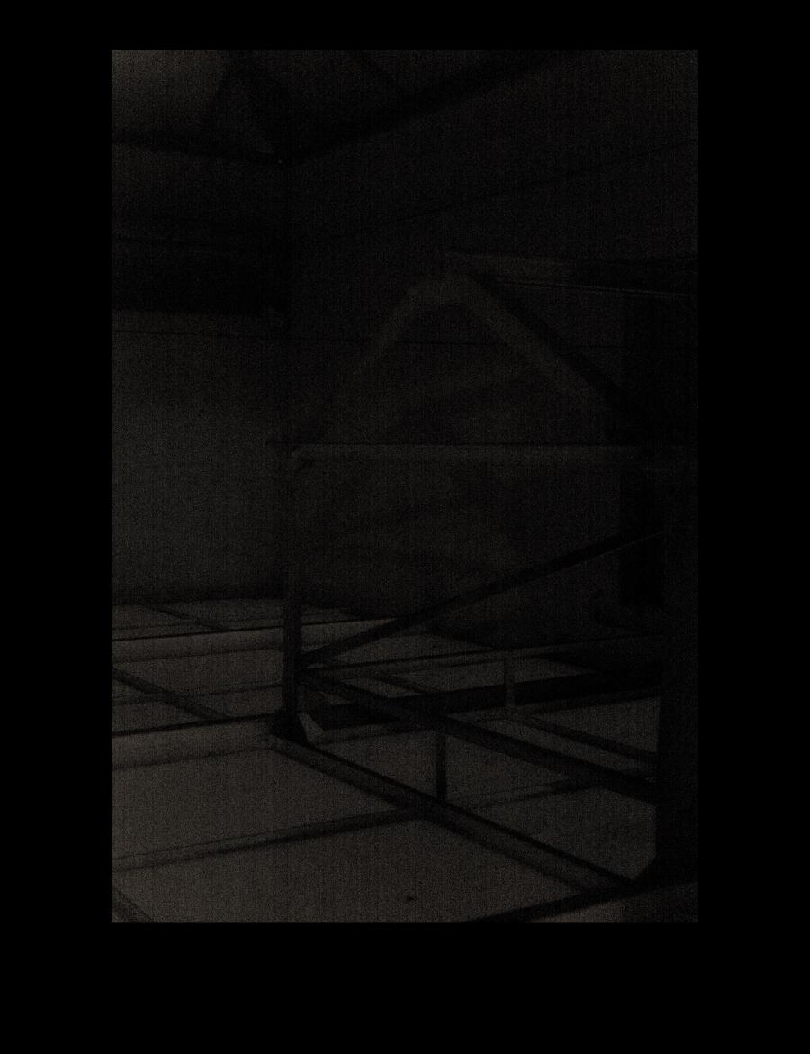 Weihnachtskarte 2024, Viola