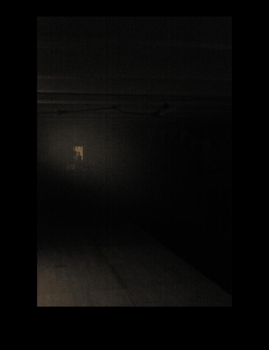 Weihnachtskarte 2024, Viola